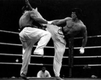 /album/tommaso-maurizio-santoro/a21-jpg/