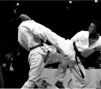 /album/tommaso-maurizio-santoro/a25-jpg/