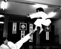 /album/tommaso-maurizio-santoro/a26-jpg/