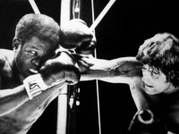 /album/tommaso-maurizio-santoro/a2-jpg/