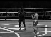 /album/tommaso-maurizio-santoro/a6-jpg/